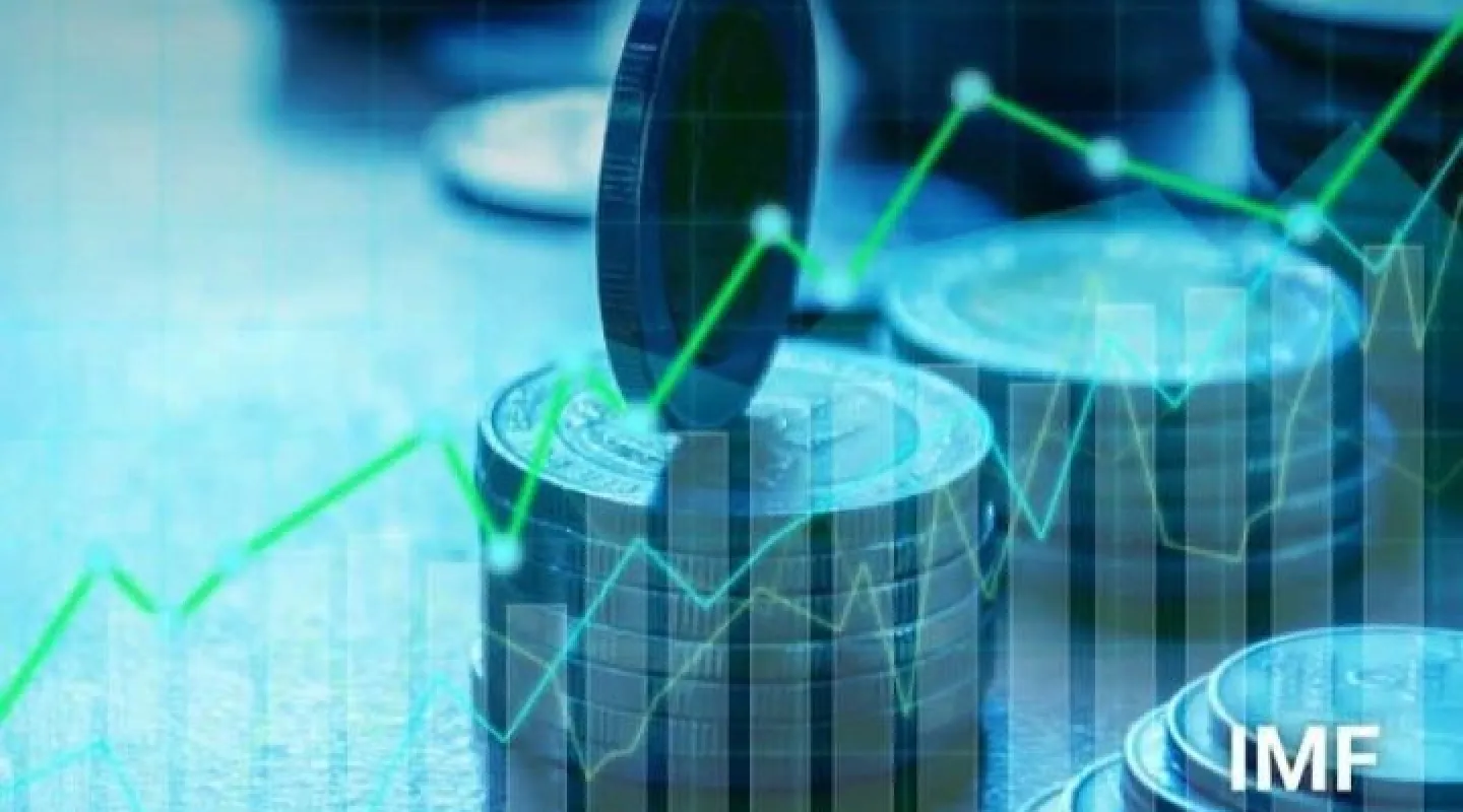 bi kaji penerbitan mata uang digital bank sentral berikut risikonya menurut imf