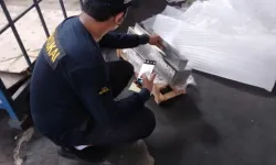 Galeri CUSTOMS BROKER 1 customs1