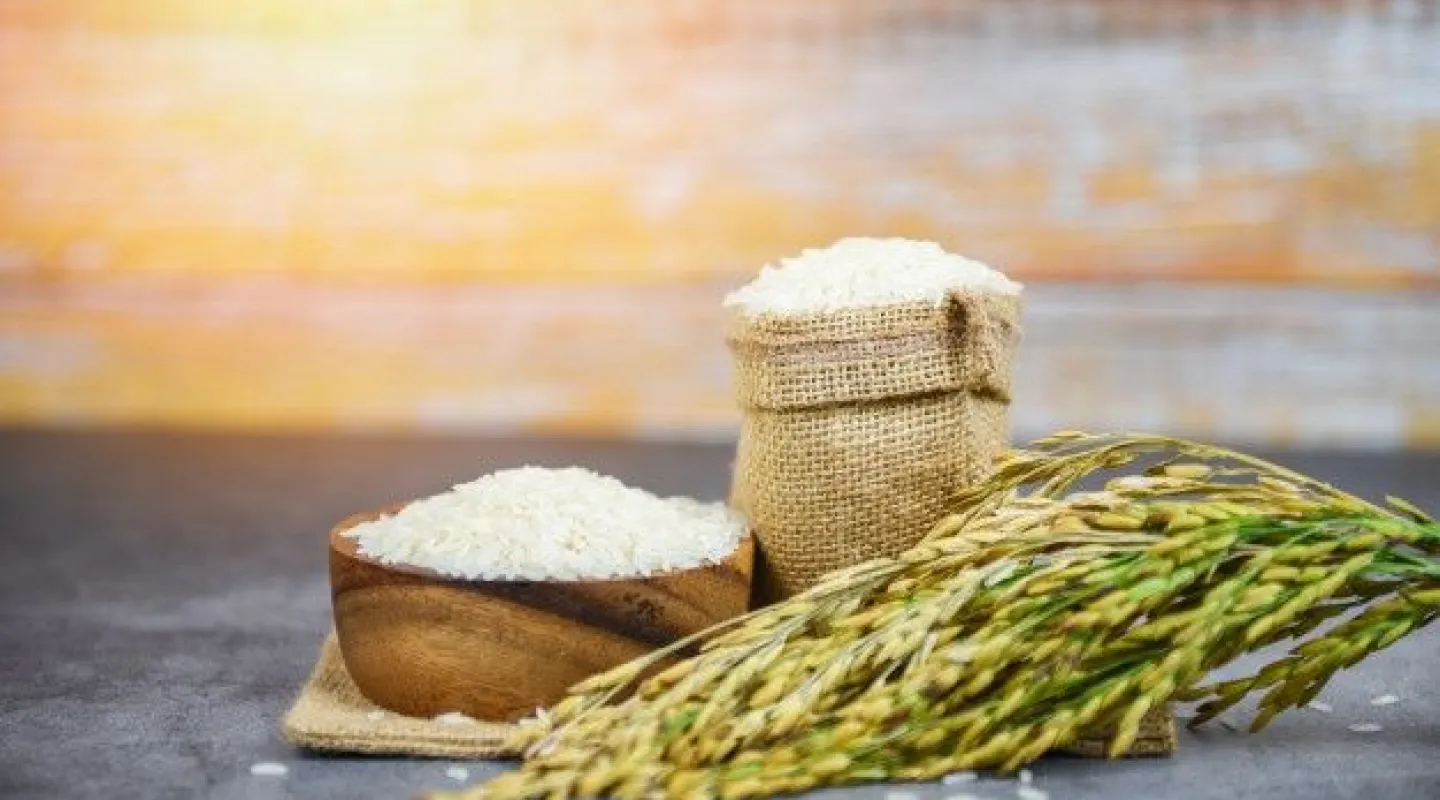 premium photo  thai rice white on bowl and the sack  raw jasmine rice grain with ear of paddy field agricultural products for food in asian