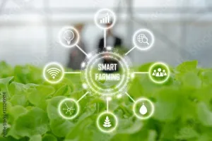 Strategi Pemasaran Produk Pertanian