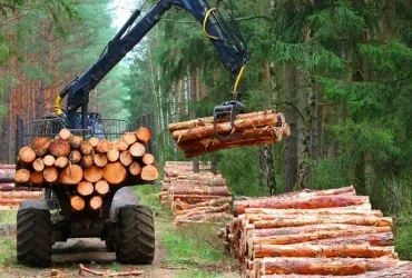tantangan logistik dalam meningkatkan produktivitas industri kayu
