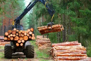 Tantangan Logistik dalam Meningkatkan Produktivitas Industri Kayu