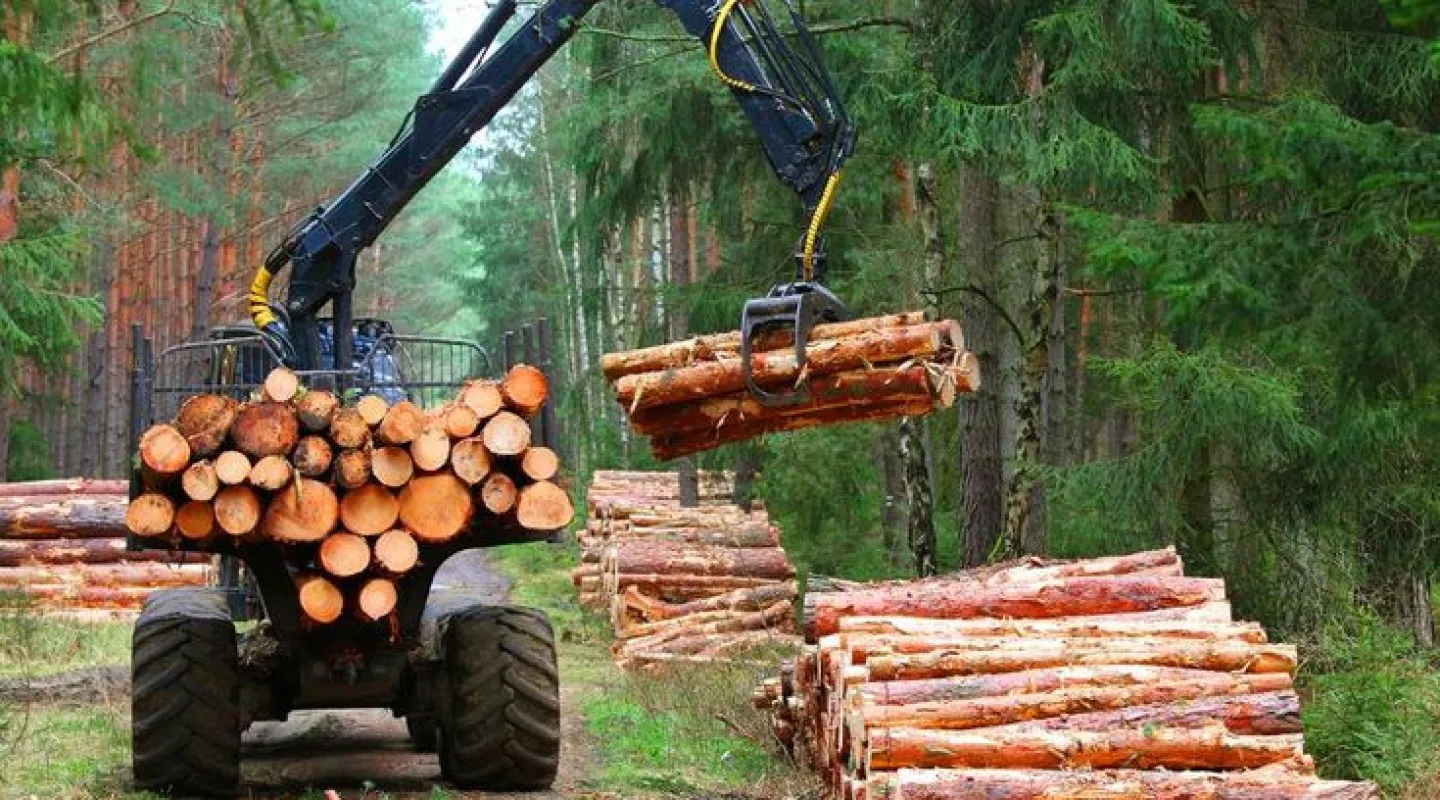 tantangan logistik dalam meningkatkan produktivitas industri kayu