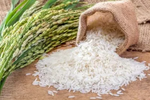 Dampak Kenaikan Bahan Pokok Logistik Beras Teruji