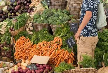 visit oranjezicht city farm market ozcf in cape town  drizzle and dip